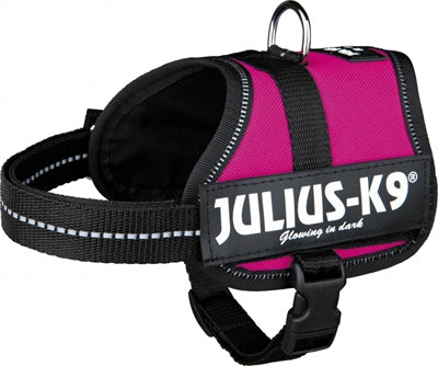 Julius K9 Power-Harnas Tuig für Etiketten Fuchsia