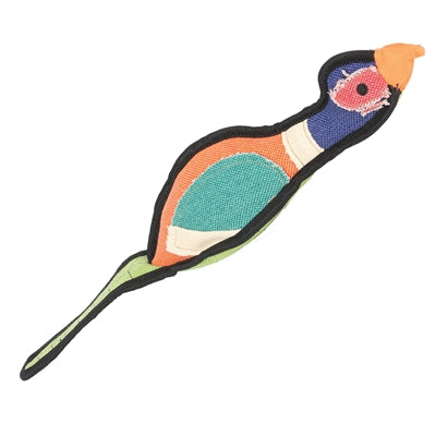 Happy pet gaudy game pheasant