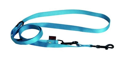 Martin Dog Belt Multipulpe Nylon Turquoise