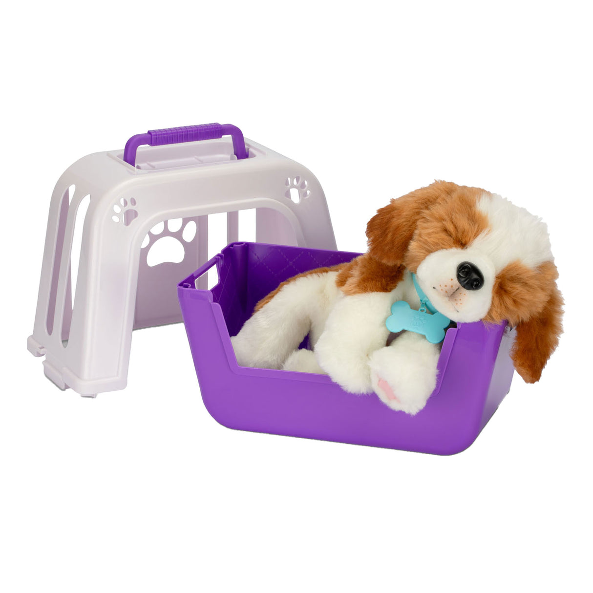 Kleine lebende Haustiere, mein wirklich echtes Welpen-Kuscheltier im Käfig