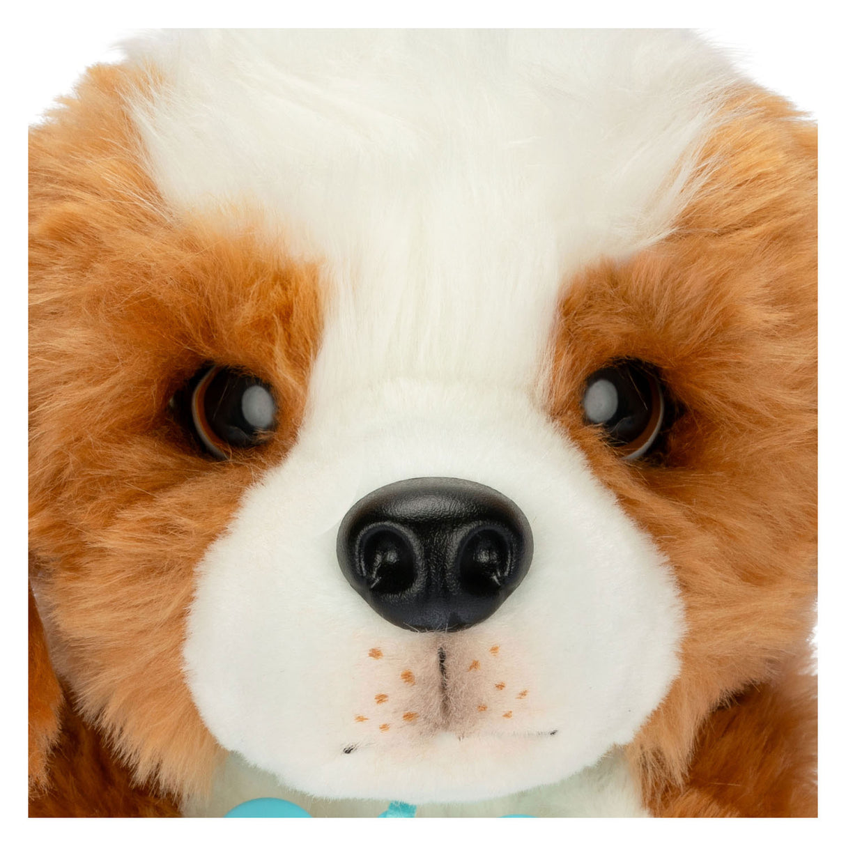 My really real puppy patches