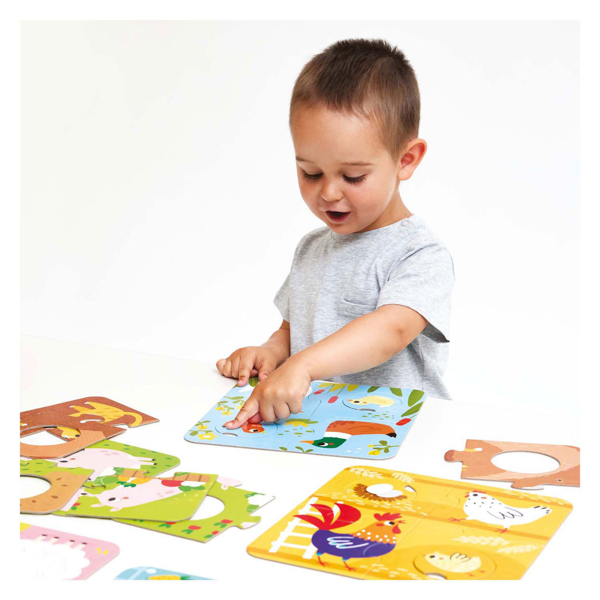 Panda banana - teacht ar na hainmhithe feirme céanna