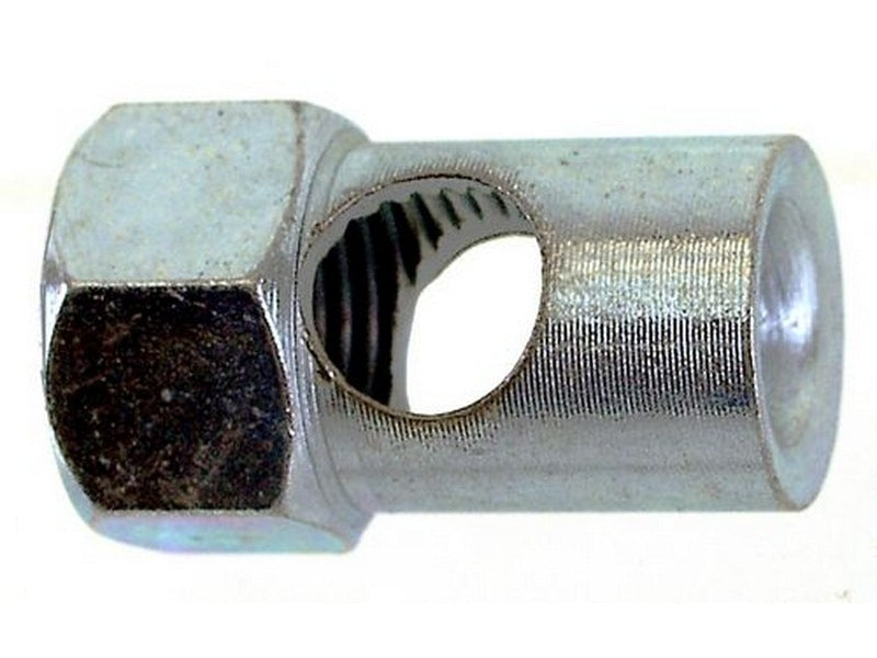 Bofix acastóir cnó ceart sa aithris