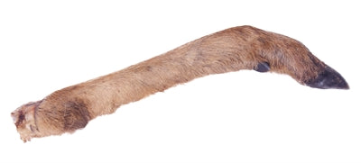 Petsnack Reeen Poot med henne