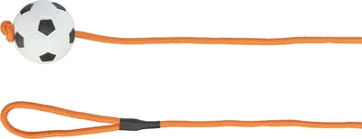 Trixie fotboll på repskum flyter