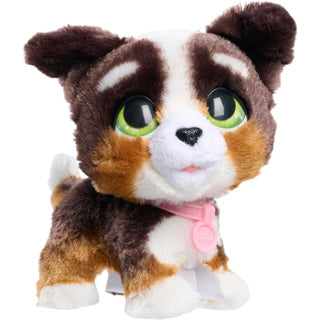 Spectron Furreal Gehen Sie eine Menge Bernedoodle