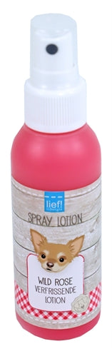Sweet! Wild Rose Lotion