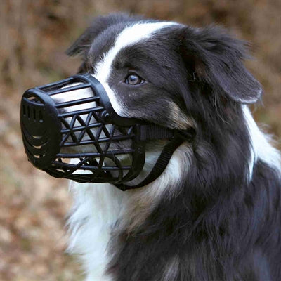 Trixie Muzzle plaisteach dubh