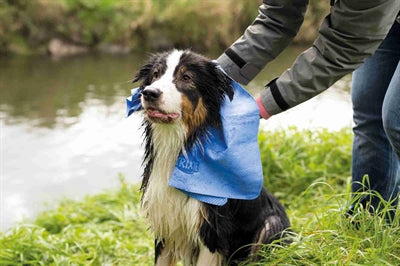 Trixie Howle Assorti