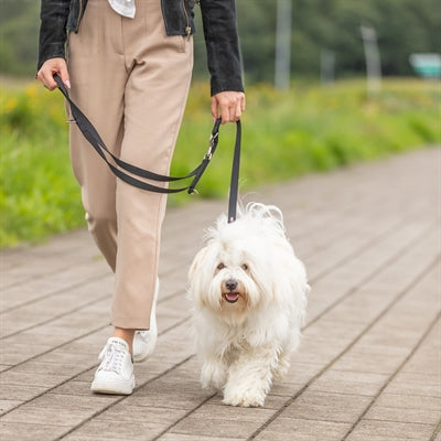 Trixie Dog smycz premium podwójnie zszyty, regulowany czarny