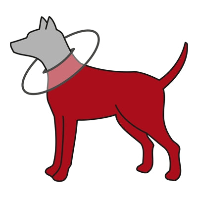 Trixie Protective Collar Foam Rubber Gray