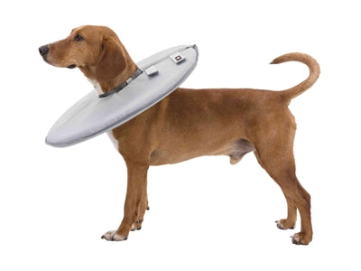 Trixie Protective Collar Foam Rubber Gray