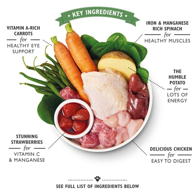 Lily's Kitchen Dog Anglická zahradní párty