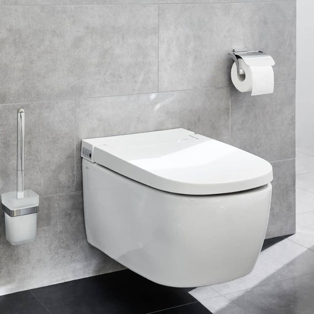 Small Wolke toilet roll holder with lid meo silver colored