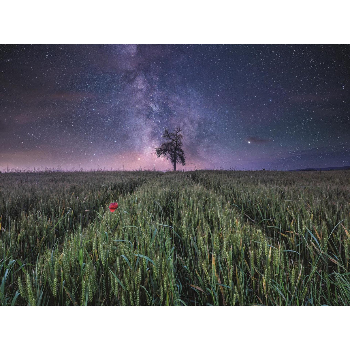 Ravensburger legpuzzel nachthim.uber dem kornfeld, 1500st.