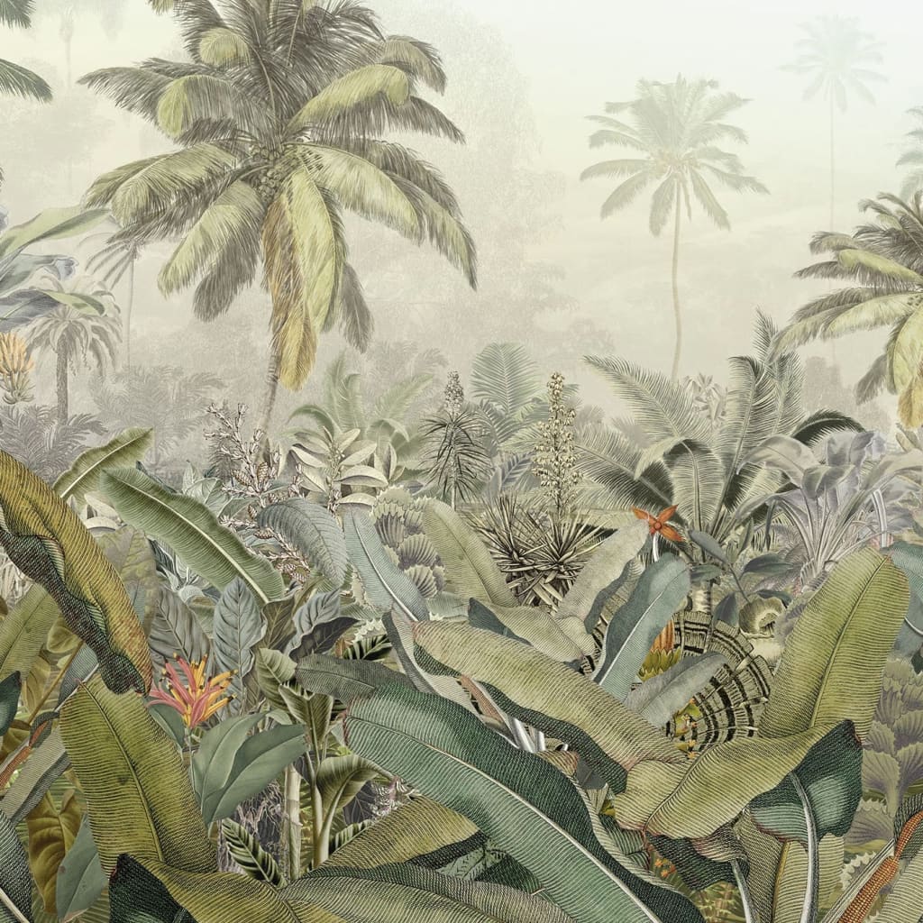 Tapeta komar komar amazonia 368x248 cm