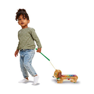 Vtech Timmie Dachshund xylophone with light and sound
