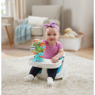 VTech Animal Fun Ferris Wheel