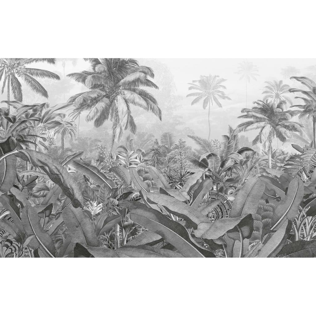 Komar Komar Photo Wallpaper Amazonia Black and White 400x250 cm