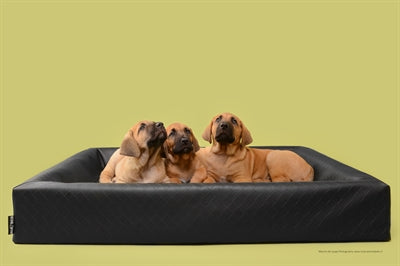 Lit bia hondmand carré d'origine noir