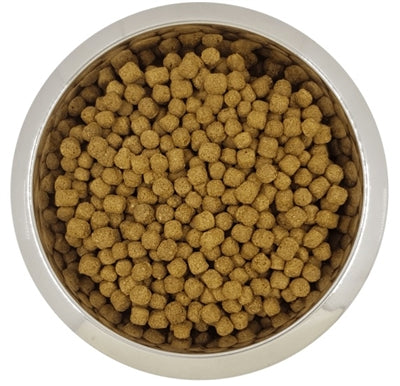 Yourdog Miniature or Toy Poodle senior