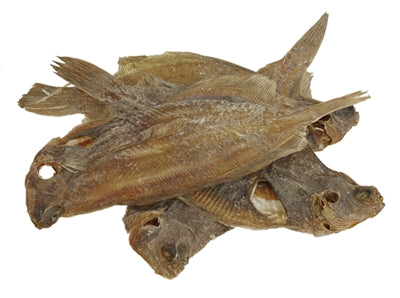 Sn'urk chrapanie wysuszona tablica