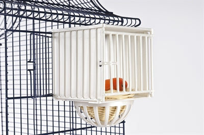 IMac Nest Box Nido Plastic