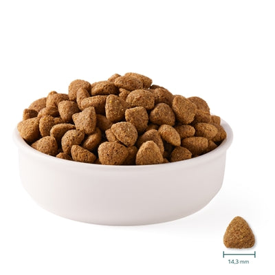 Yarrah Dog trozos orgánicos de aceite de coco Vega Baobab