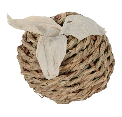 ZOLUX EHOP RAIDJS SEEGras