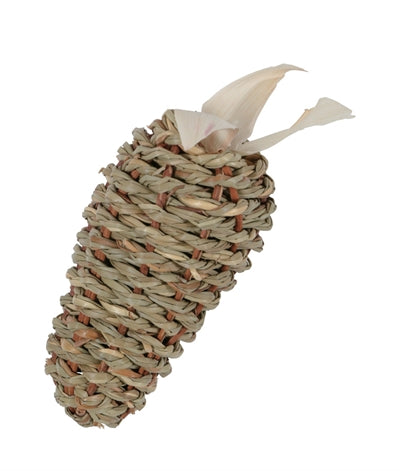 ZOLUX EHOP Worte Greak