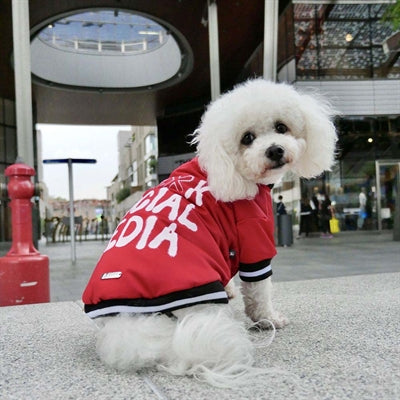 Croci Dog coat social media red