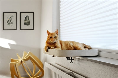 Ebi Windowsill Basket Kyo White