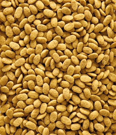 Fazenda de manutenção original de Nutribird P15