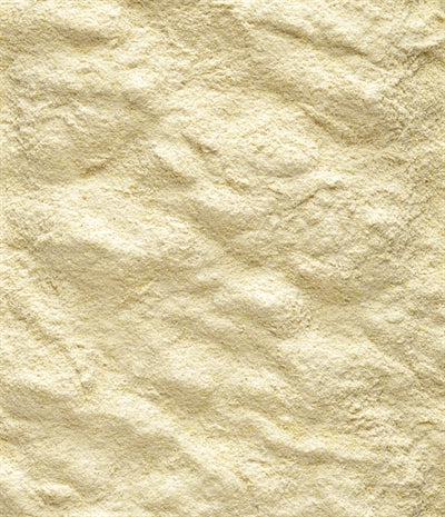 NutriBird A19 papiga