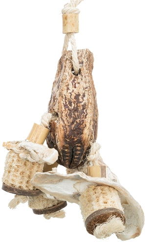 Trixie Nature Toys Mahogany Shells