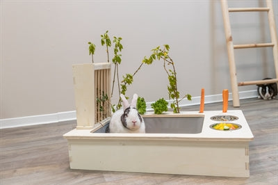 Stáisiún beathaithe Trixie le babhla bia, babhla uisce, raca féar, adhmad, nádúrtha