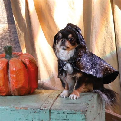 Croci Dog Cape záludný duch