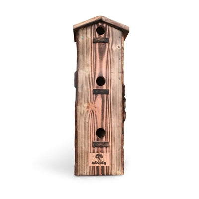 Apartament Utopia Sparrow spalił Douglas Wood