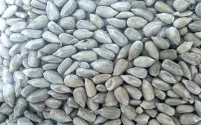 Utopía semillas de girasol peladas