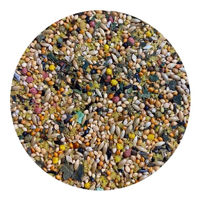 Utopia tropiske fugler topp kvalitet