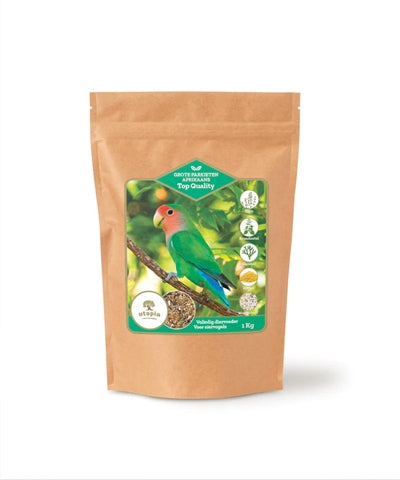 Utopia duże papugi afrykańskie najwyższej jakości