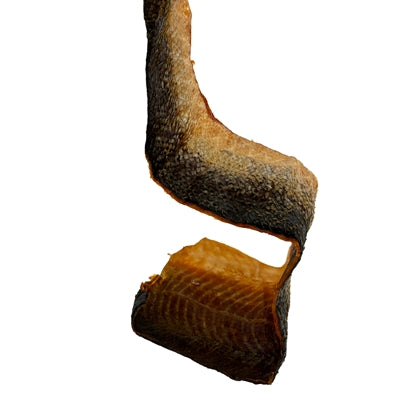 Snack de perros de corteza de salmón de Freds Salmon