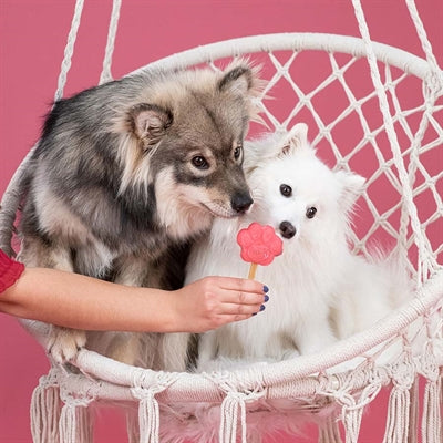 SNOOFL SNOOFL STARTERKIT