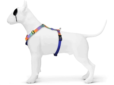 Morso Dog hám h-hám újrahasznosított tavaszi virág