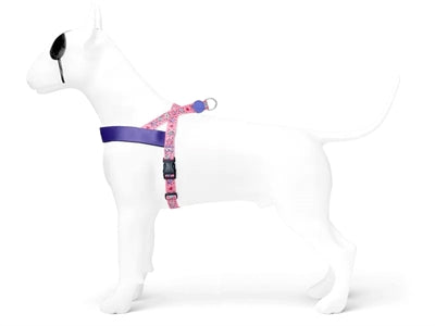 Athchúrsáil an t -úim madraí san Ioruach Tweet Sweet Pink