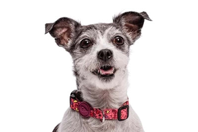 A Morso nyakörv újrahasznosított rózsaszín, gondoljon rózsaszínre