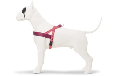 Morso Norwegian dog harness recycled pink think pink