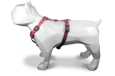 Morso Dog Harness H-Harness Recycled Pink Think Pink