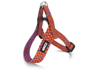 MORSO MINI DOG DUR DIFFERT RECYLEMENT RECYLEMENT RED LEZARD ROUGE