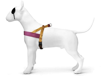 Morso Norwegian Dog Charness Recycled Jungle Drum Orange Orange